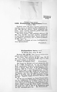 Preussia funiculata image